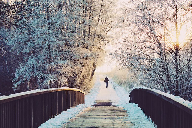 A snowy bridge under winter trees covered in snow and a man walking away in the distance